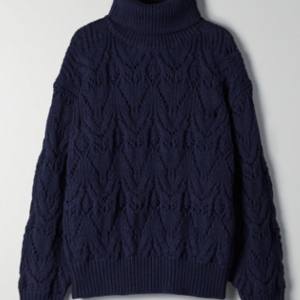 Aritzia Negroni Sweater, Winter 2019